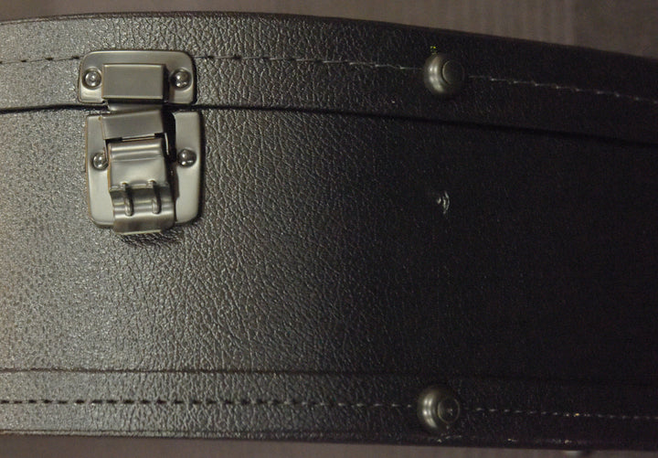 L-00/LG-2 Modern Case, Recent