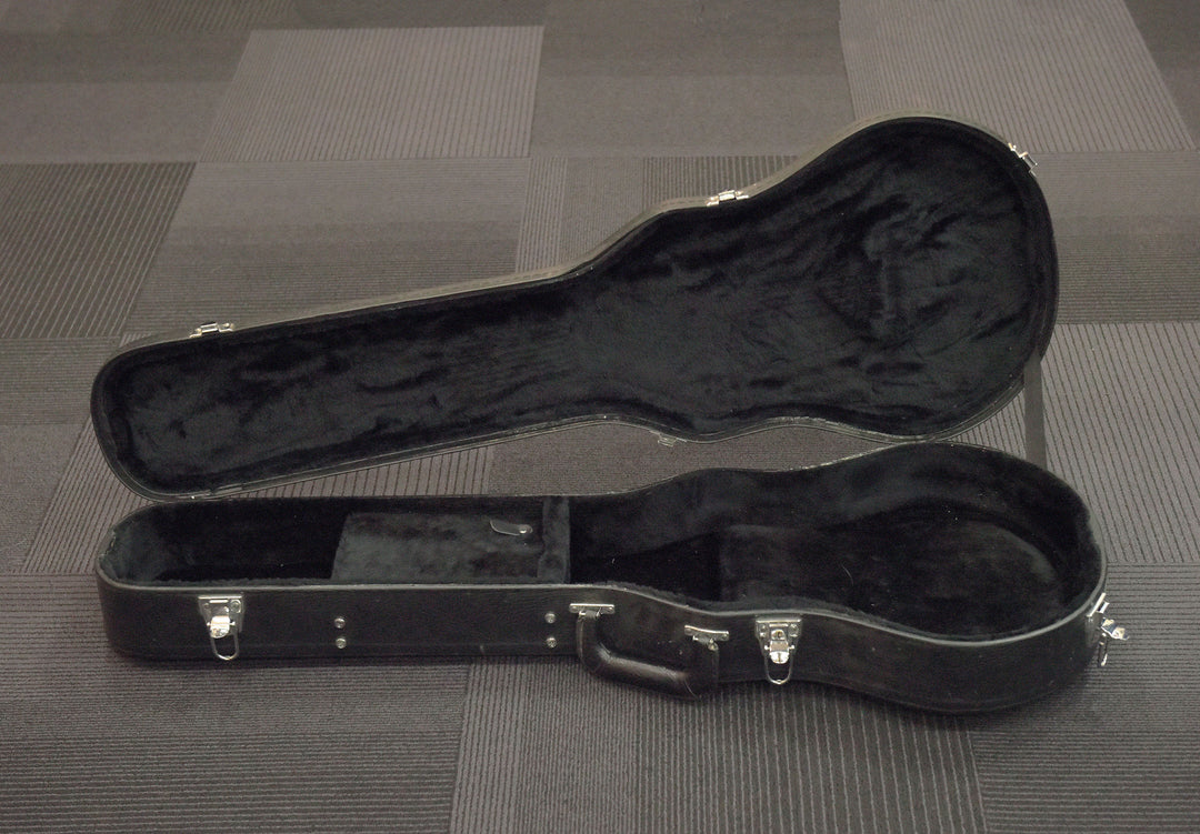 Les Paul-Fit Case, Recent