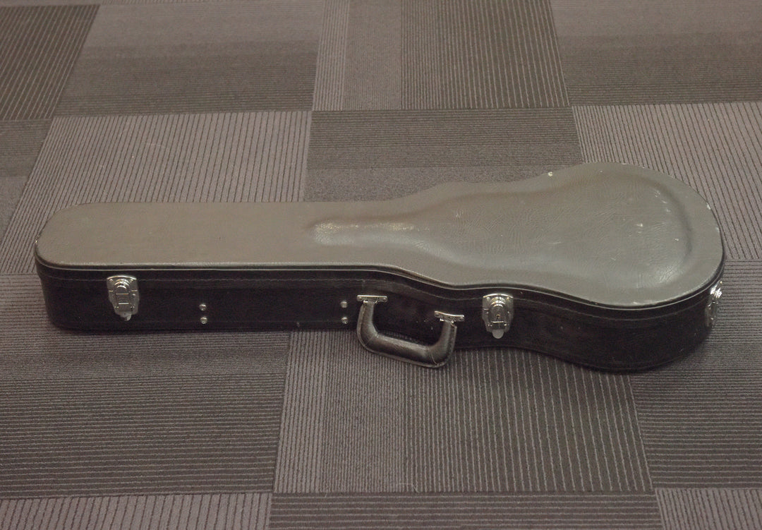 Les Paul-Fit Case, Recent