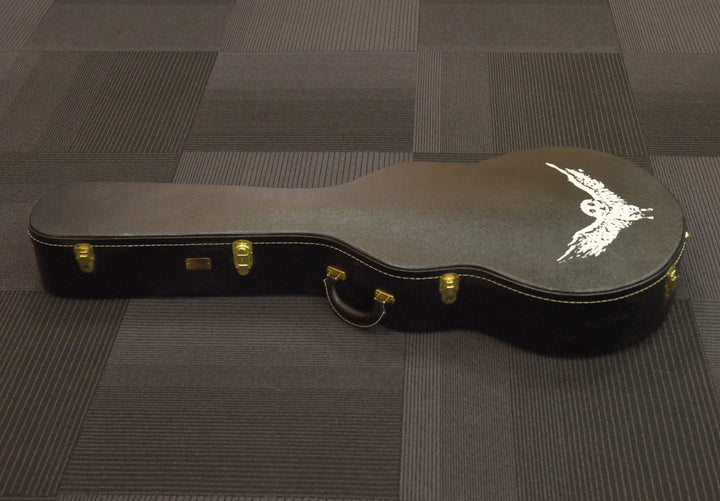 Jim James ES-335 Case, Recent