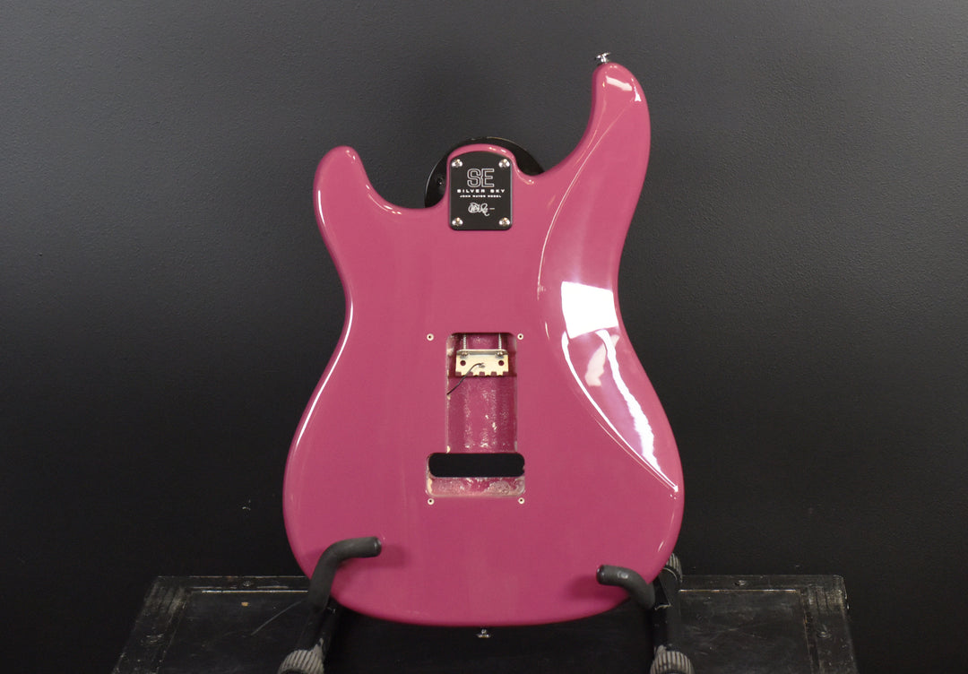 SE Silver Sky Body, Recent