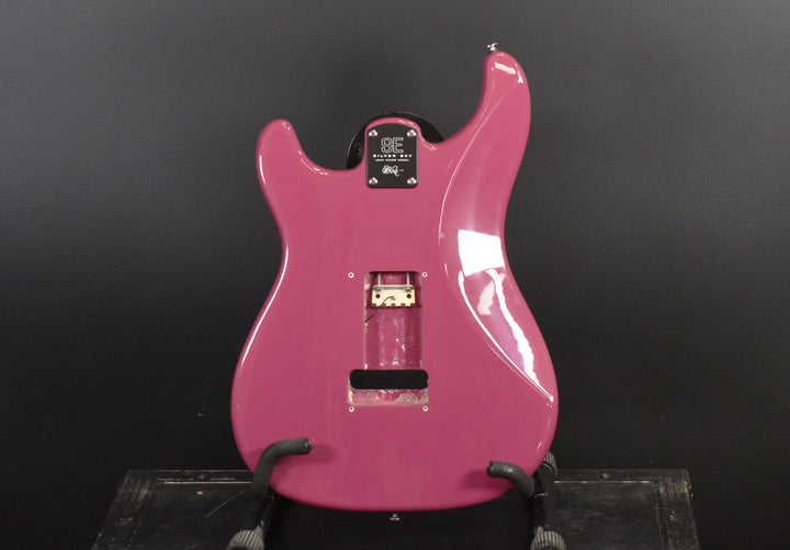 SE Silver Sky Body, Recent