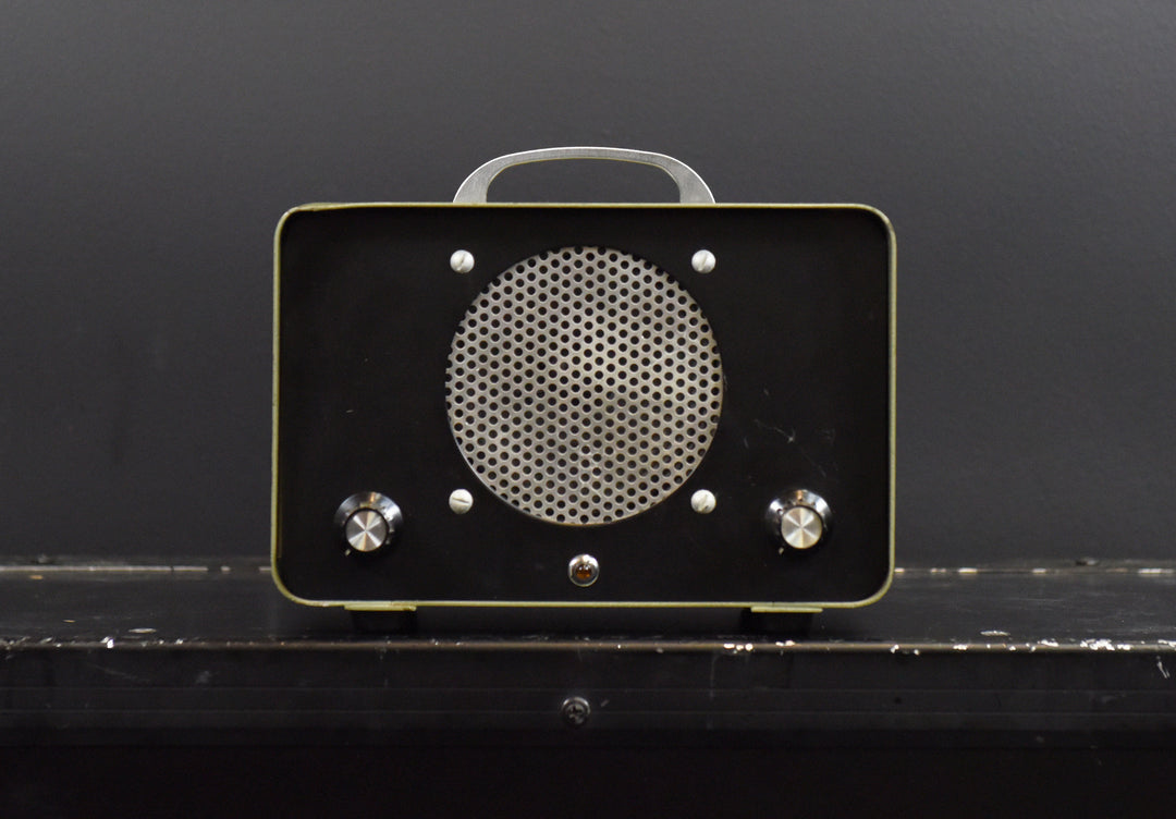 Model 1027-A Squawk Box - Mini Guitar Amp, Recent