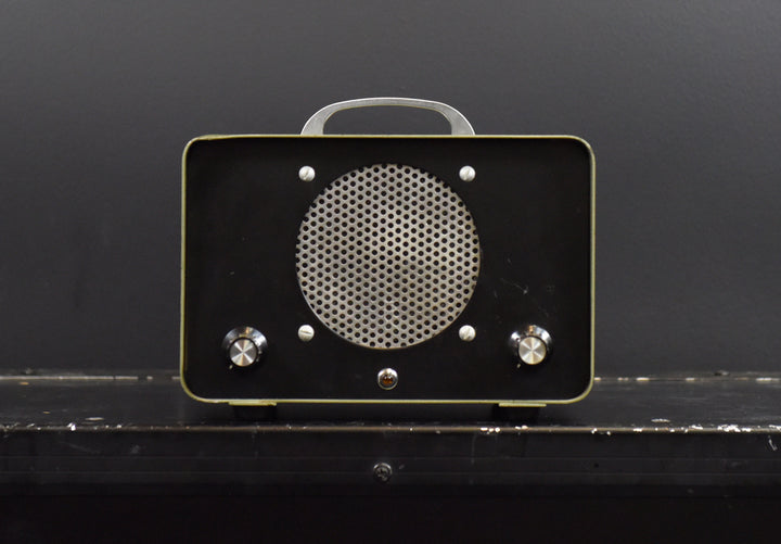 Model 1027-A Squawk Box - Mini Guitar Amp, Recent