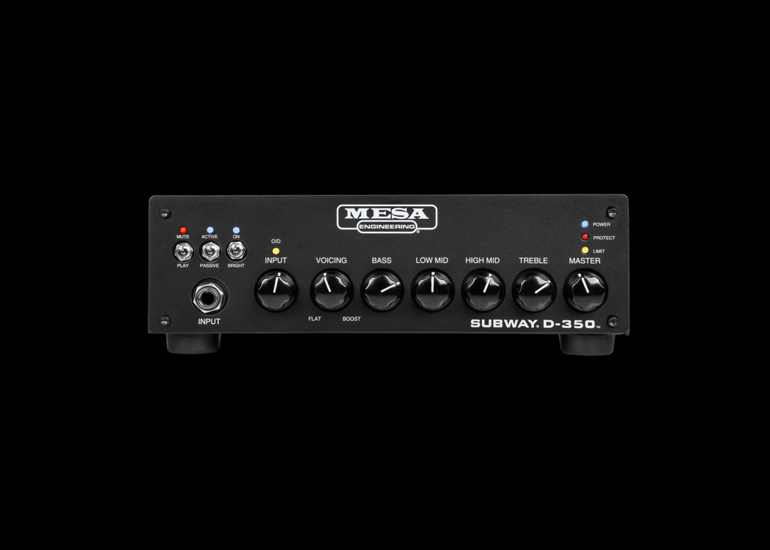 Subway D-350 Bass Head