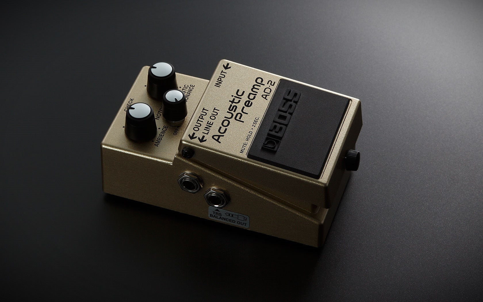 AD-2 Acoustic Preamp – Dave's Guitar Shop