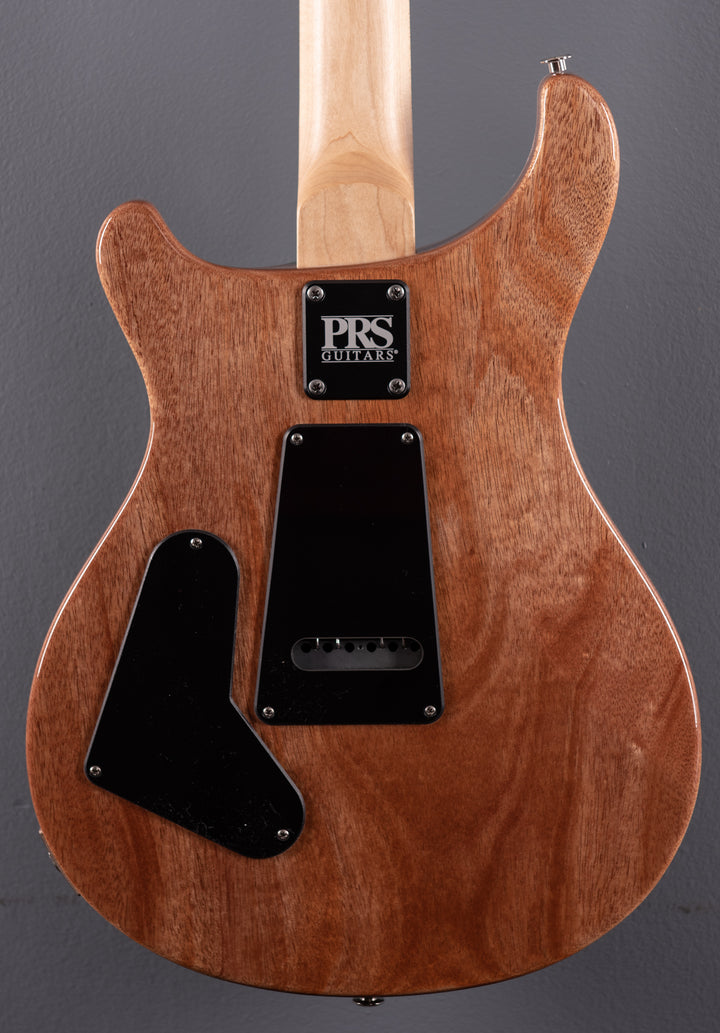 Dave's Guitar Shop Milwaukee 5th Anniversary CE-24 '22