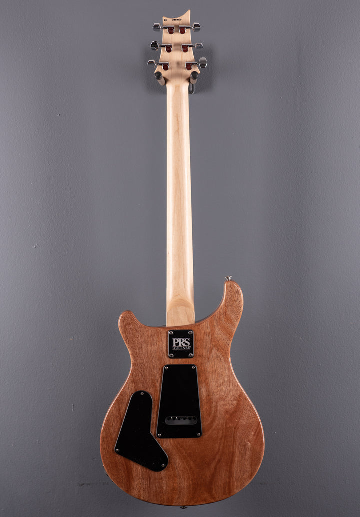 Dave's Guitar Shop Milwaukee 5th Anniversary CE-24 '22