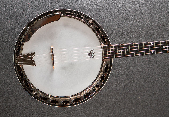 Sierra 5 String Banjo '95