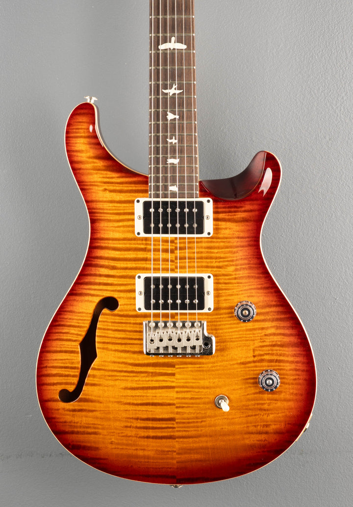 CE-24 Semi-Hollow, &