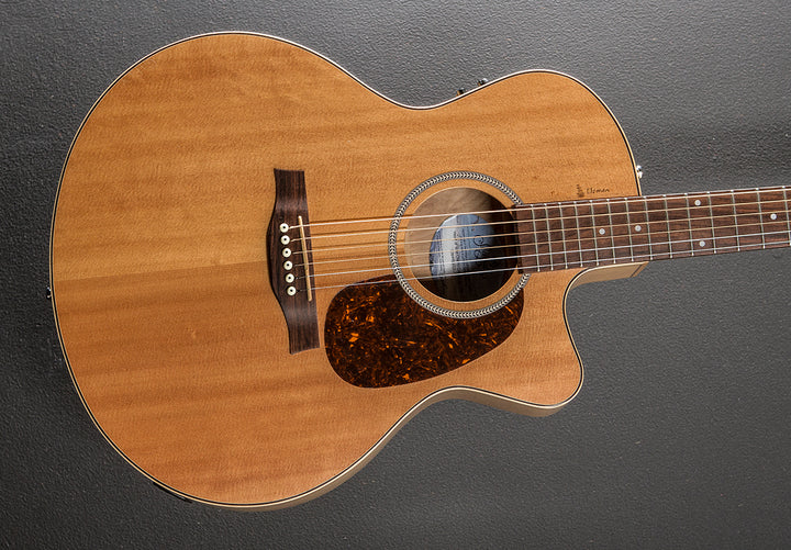 Natural Elements CW Mini Jumbo, Recent