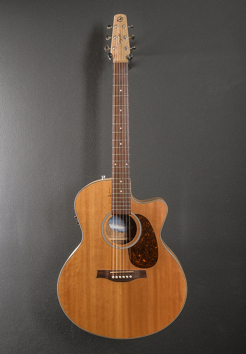 Natural Elements CW Mini Jumbo, Recent