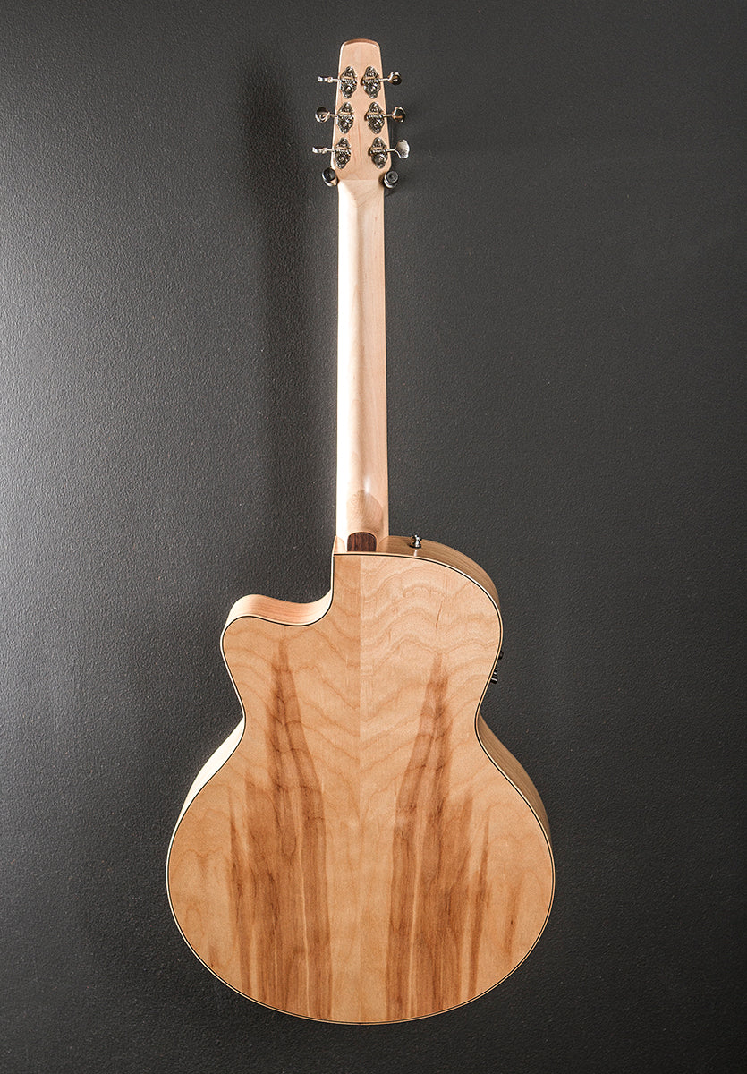 Natural Elements CW Mini Jumbo, Recent