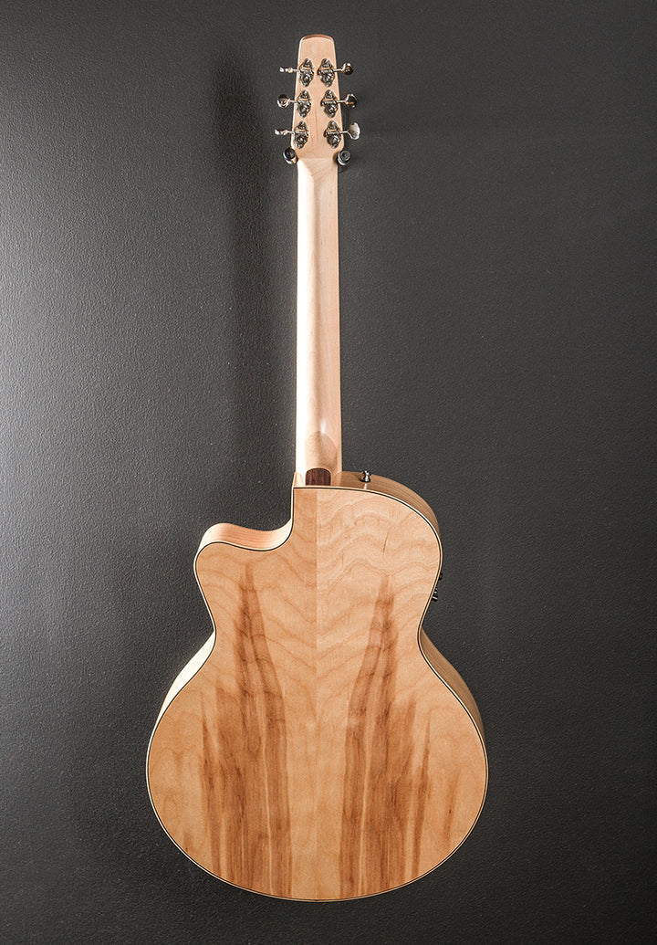 Natural Elements CW Mini Jumbo, Recent