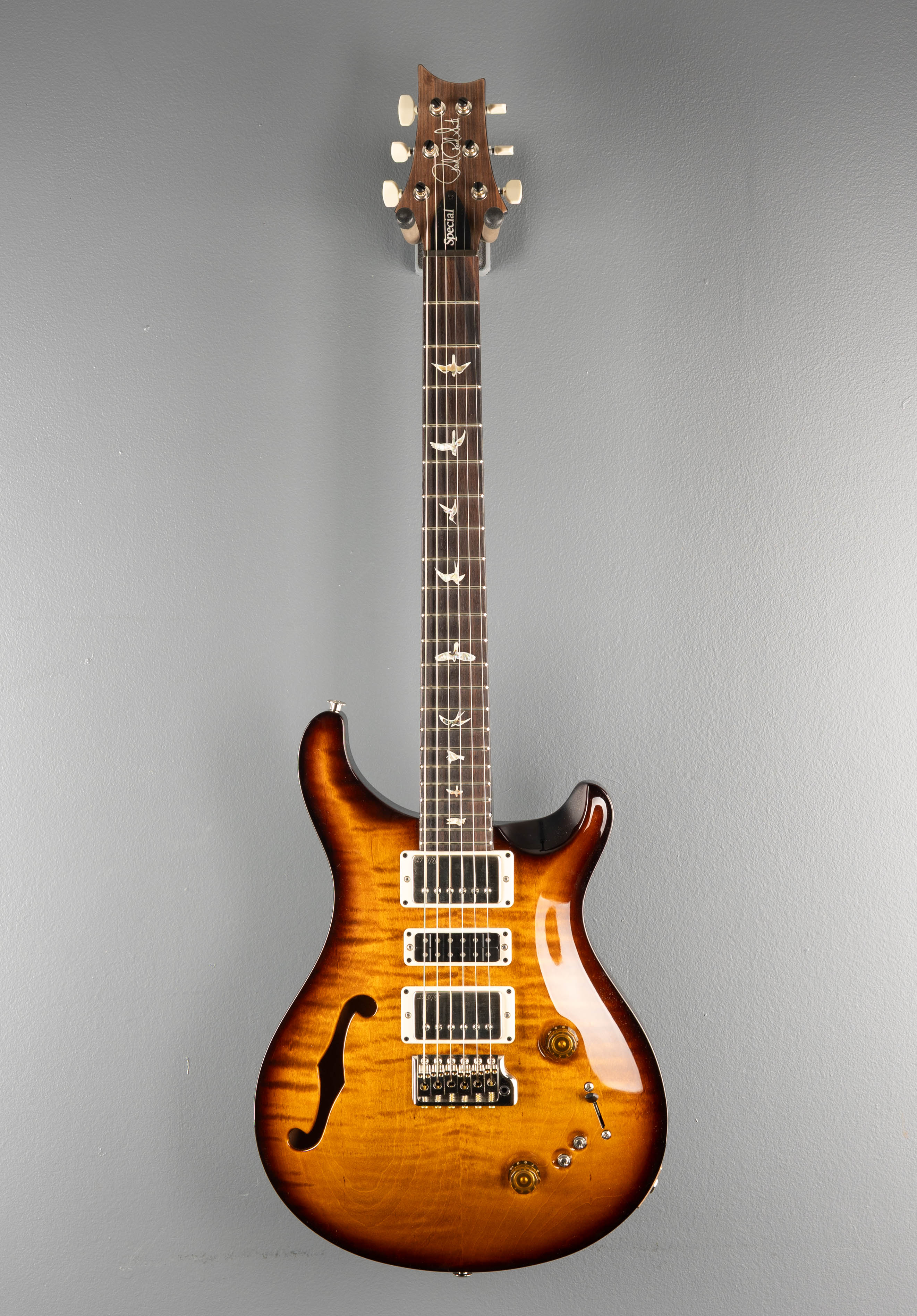 ギター PRS SPECIAL 22 SEMI-HOLLOW (2023) Special 22 Semi Hollow '24 – Dave's Guitar Shop