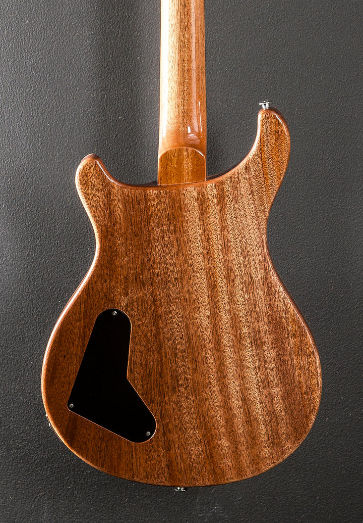 Paul's Guitar '25