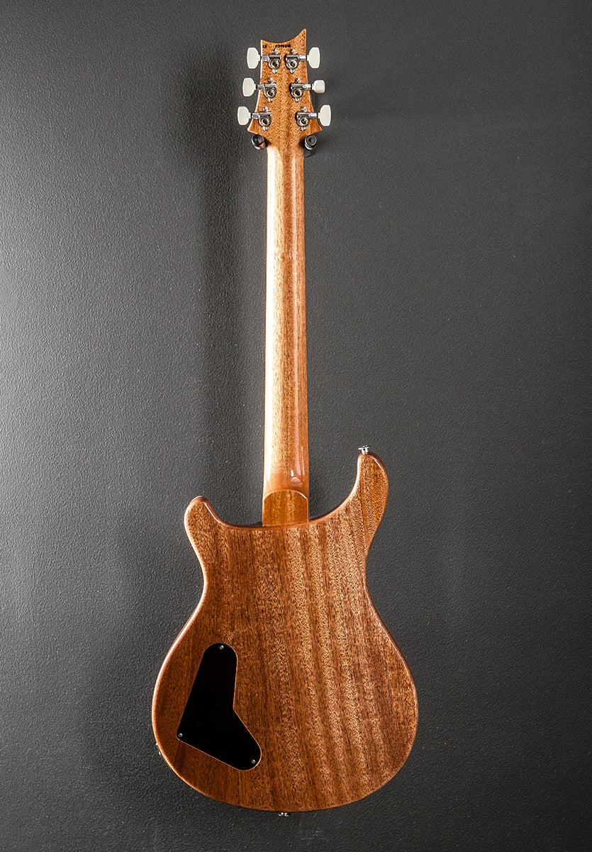 Paul's Guitar '25