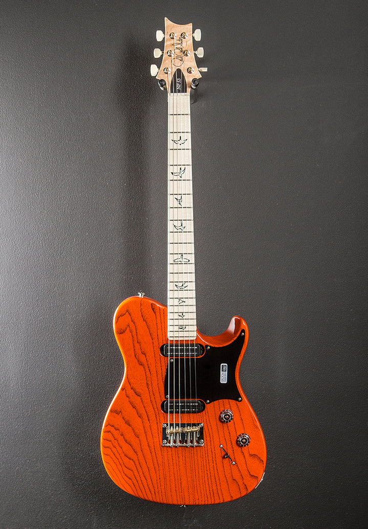 NF53 - Orange Tabby