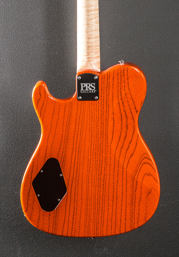NF53 - Orange Tabby
