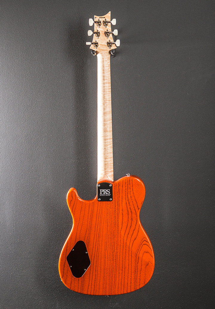 NF53 - Orange Tabby