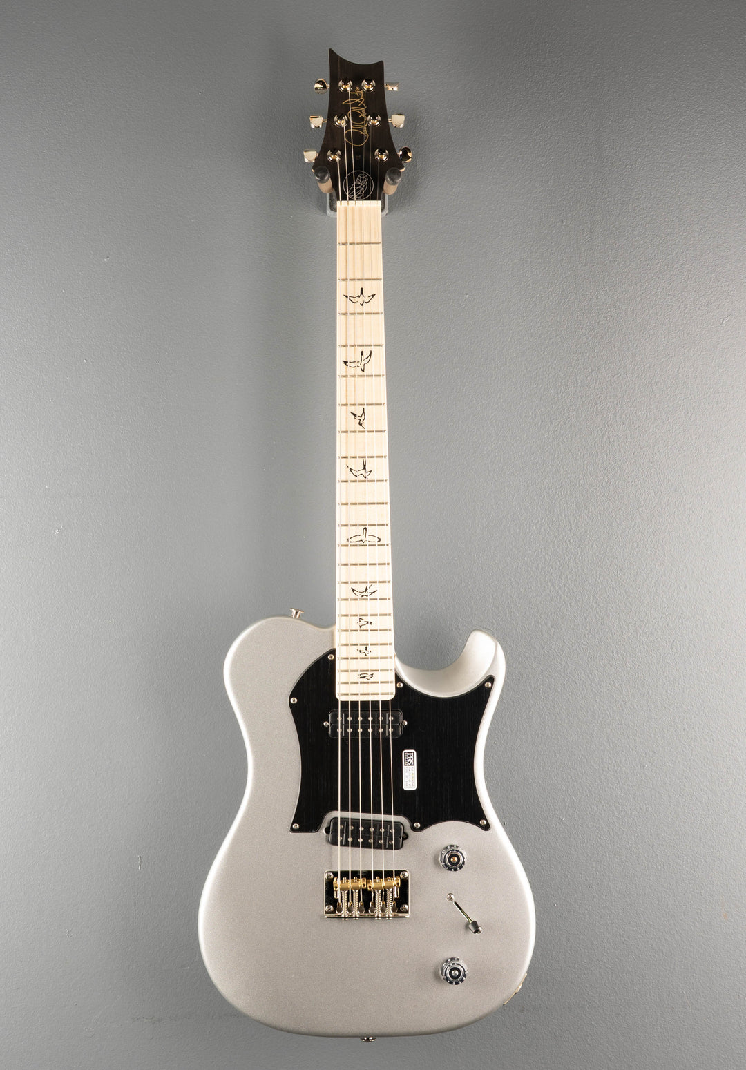 Myles Kennedy - Platinum Metallic