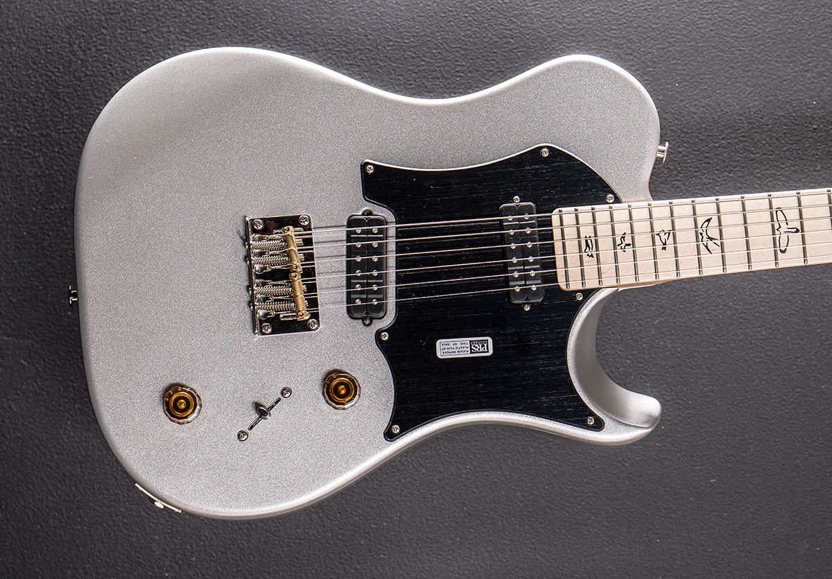Myles Kennedy - Platinum Metallic – Dave's Guitar Shop