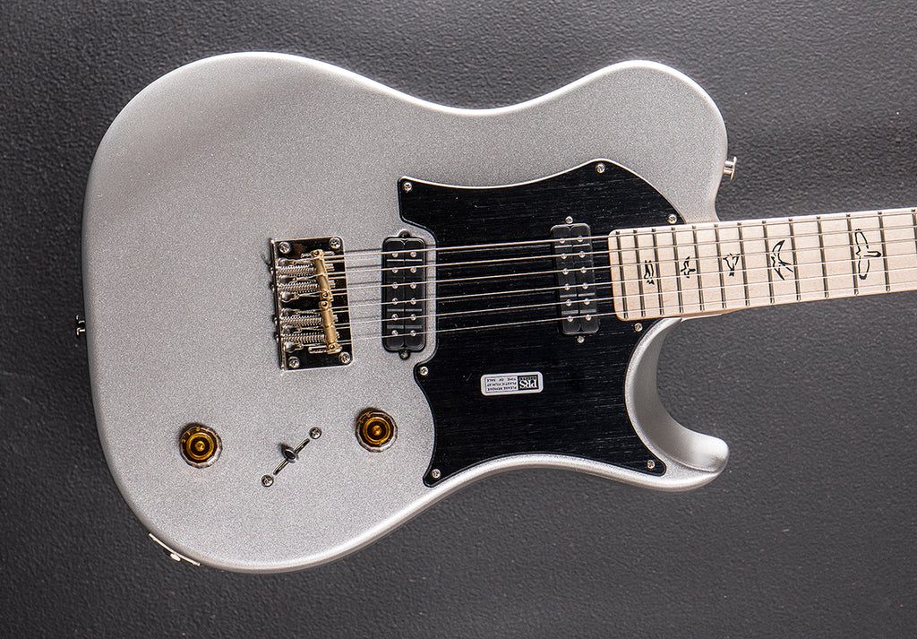 Myles Kennedy - Platinum Metallic – Dave's Guitar Shop