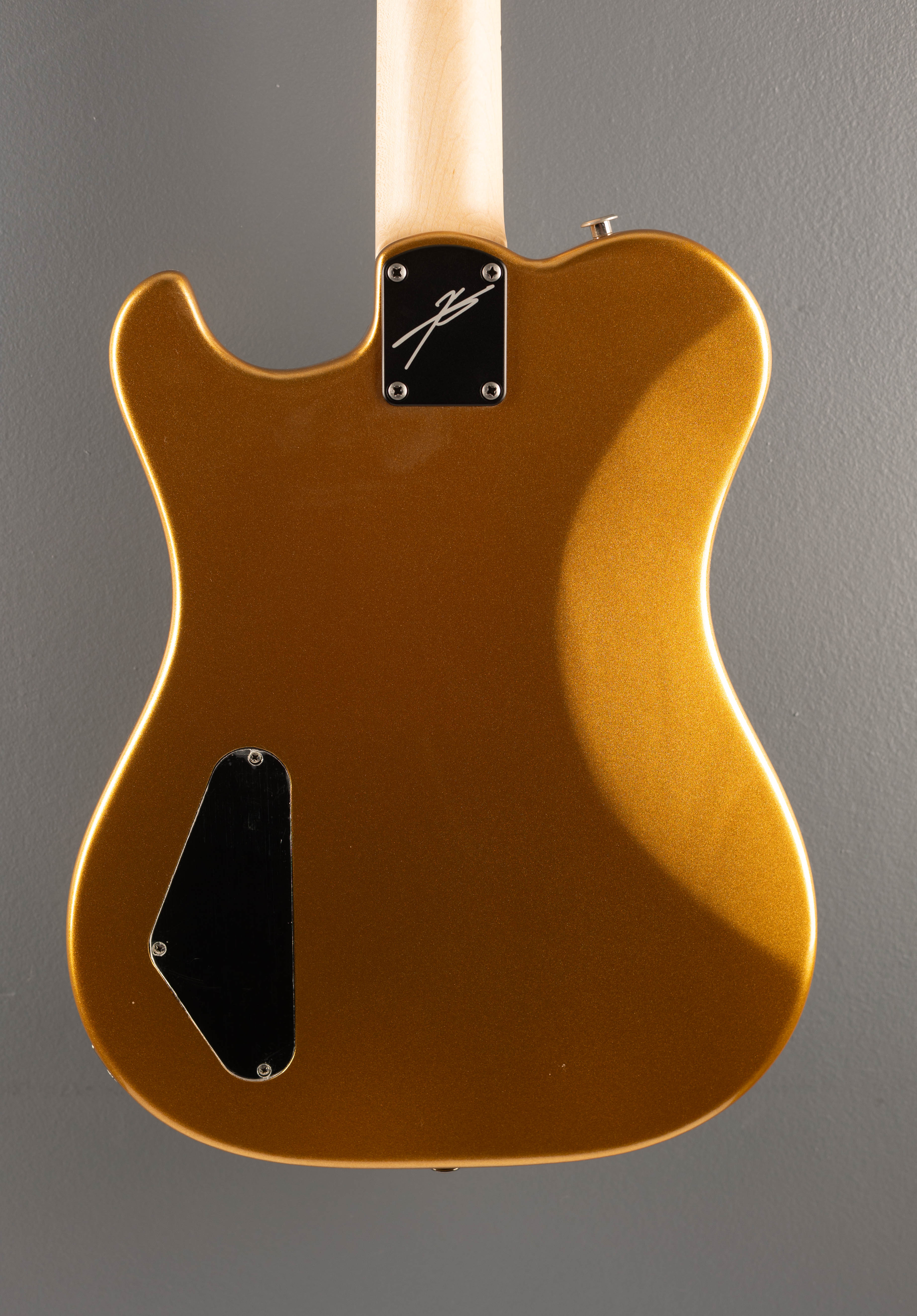 Myles Kennedy - Egyptian Gold Metallic – Dave's Guitar Shop