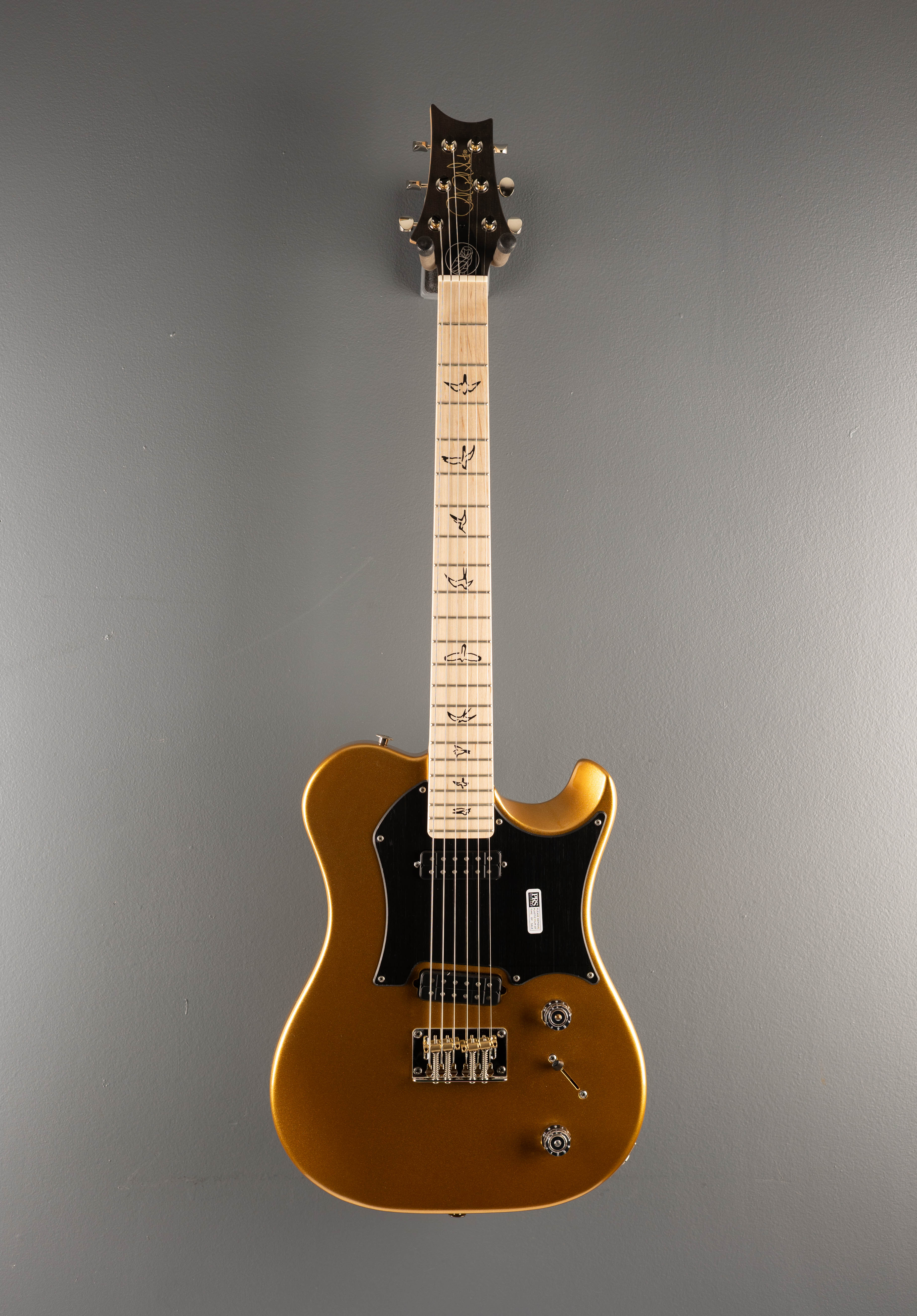Myles Kennedy - Egyptian Gold Metallic – Dave's Guitar Shop
