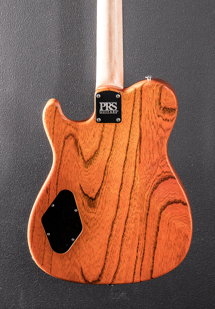 NF53 - Orange Tabby