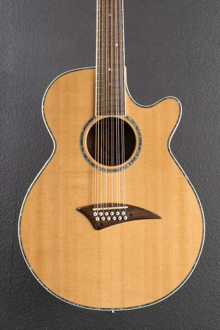 Performer SE-12 &