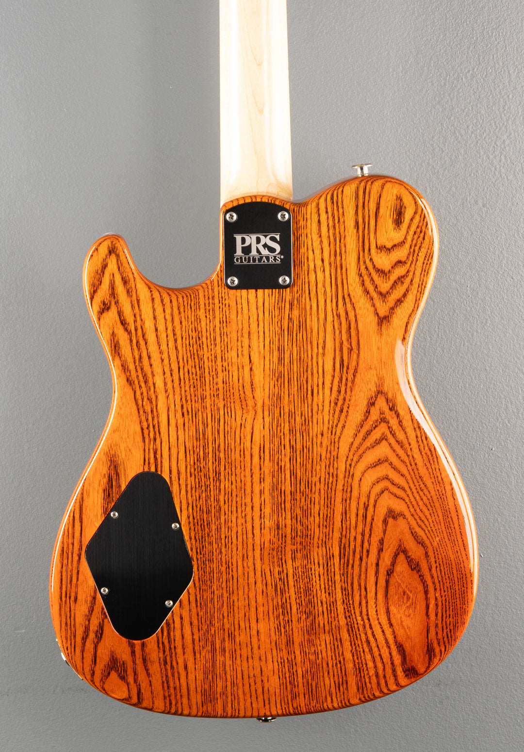 NF53 - Orange Tabby
