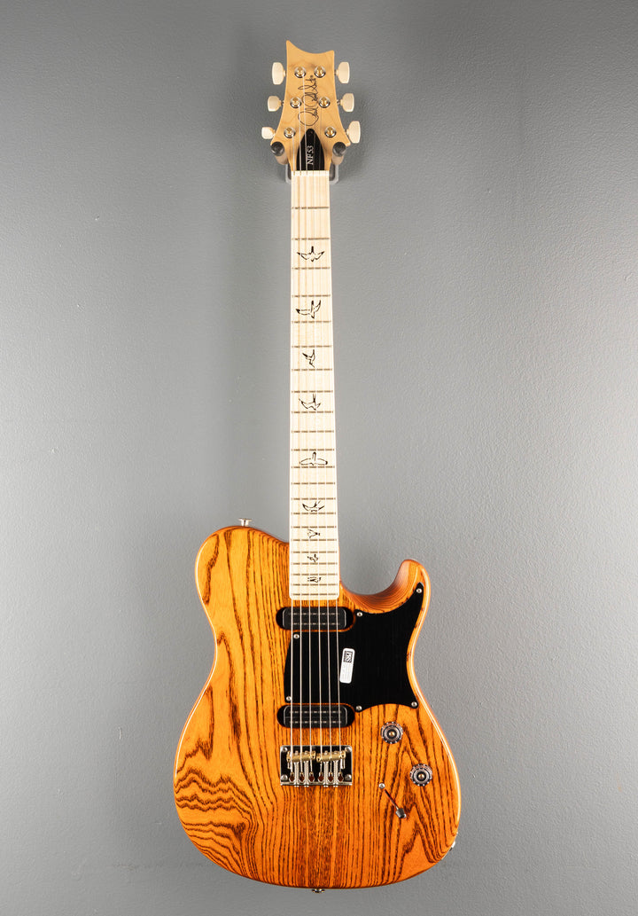 NF53 - Orange Tabby