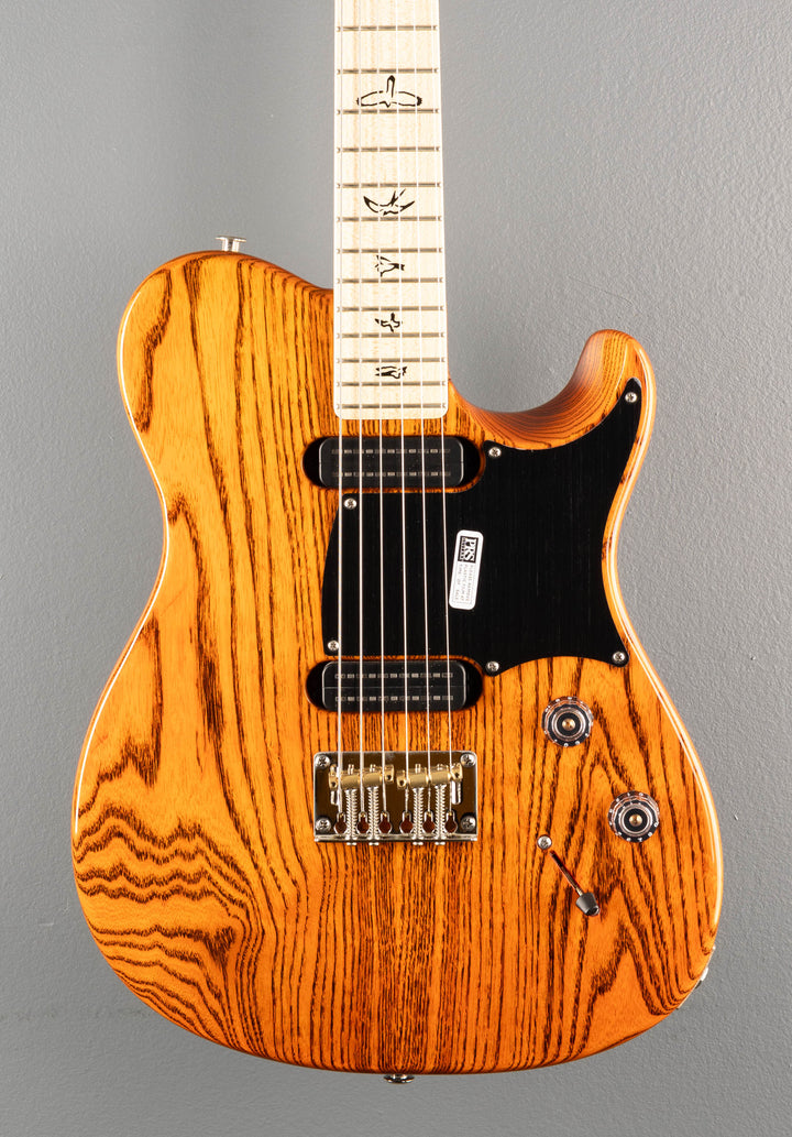 NF53 - Orange Tabby