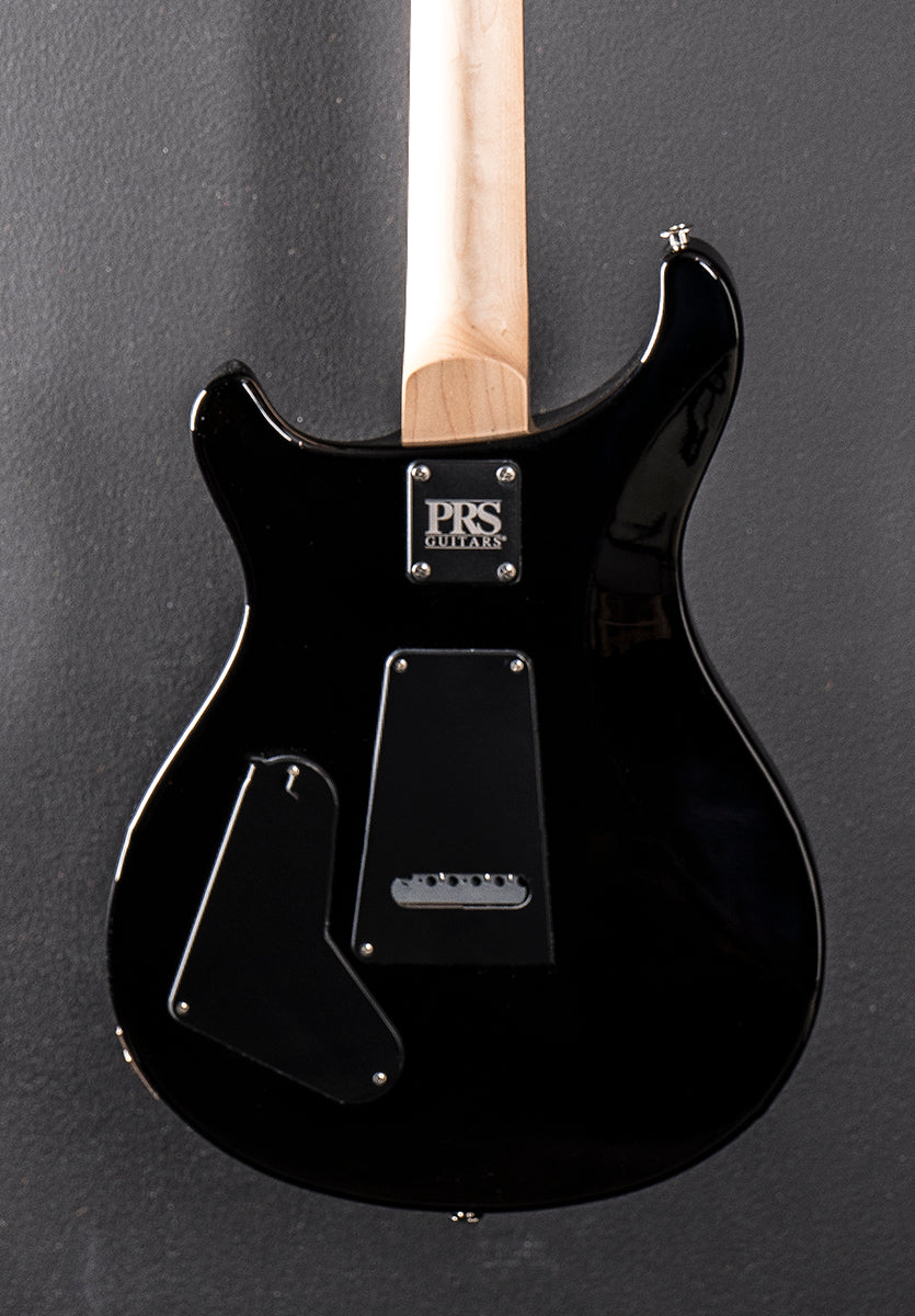 Swamp Ash Special - Black Doghair Smokeburst