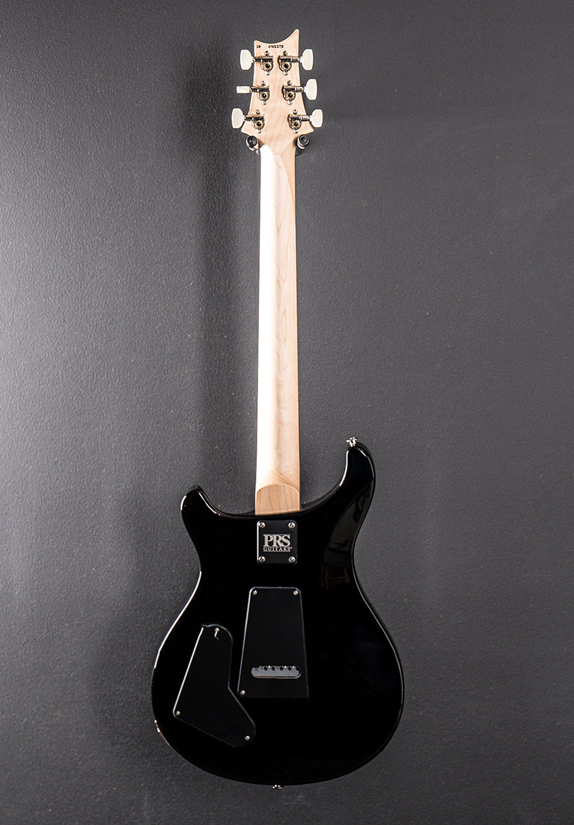 Swamp Ash Special - Black Doghair Smokeburst