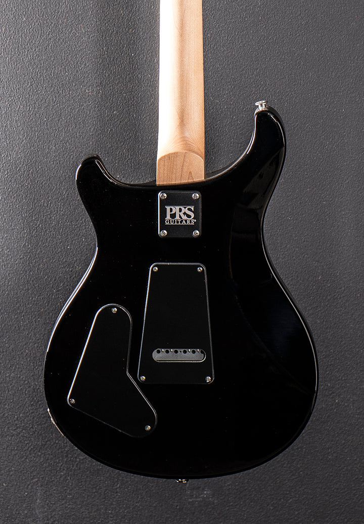 Swamp Ash Special w/Maple &