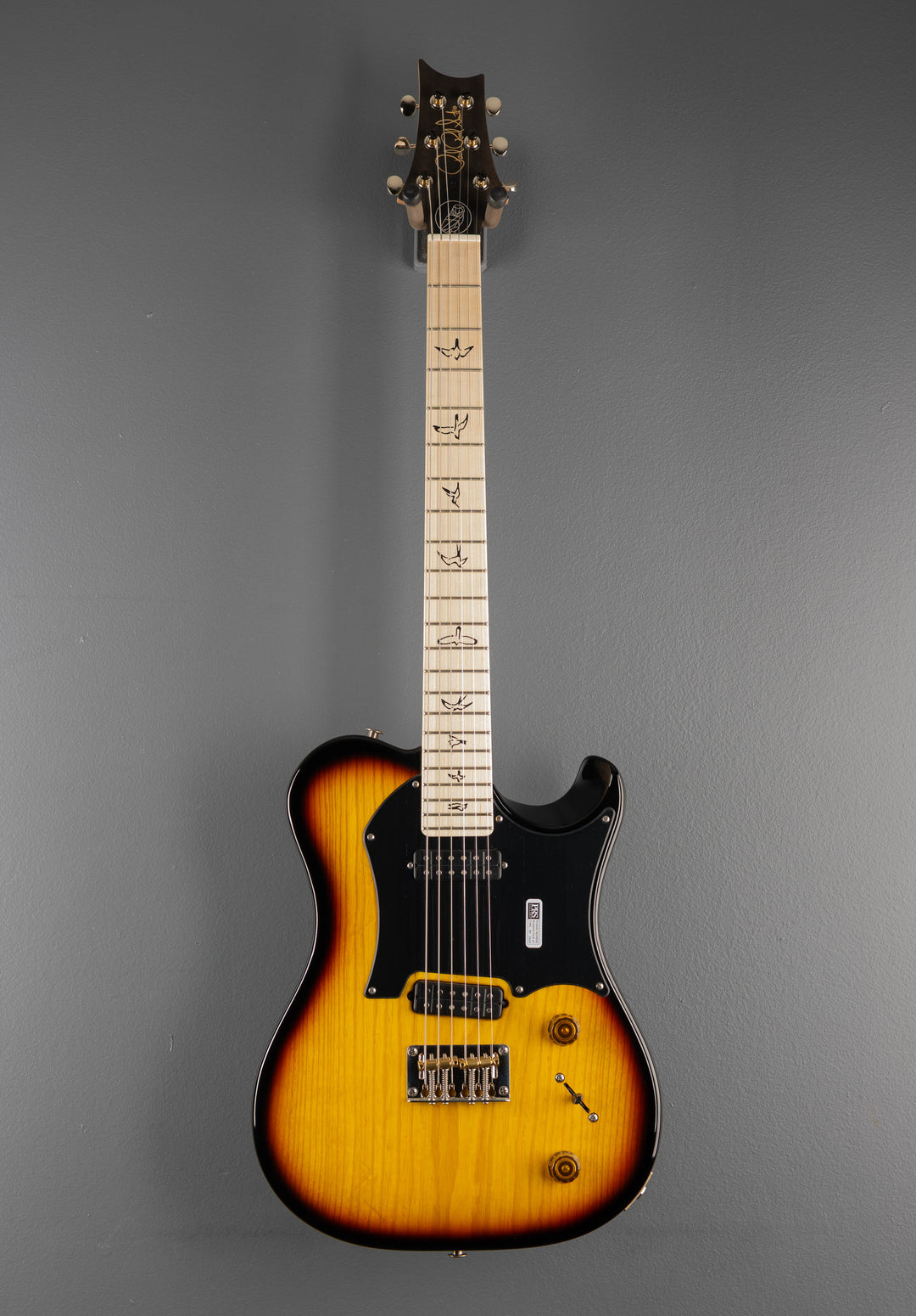 Myles Kennedy - Tri-Color Sunburst