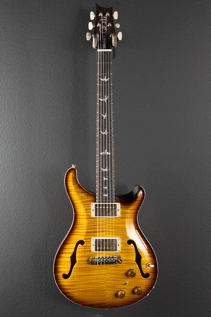 Hollowbody II Piezo 10 Top &