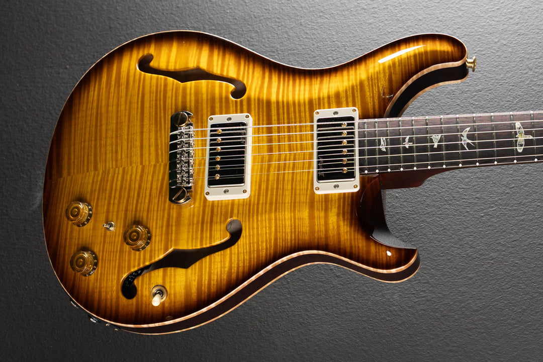 Hollowbody II Piezo 10 Top &
