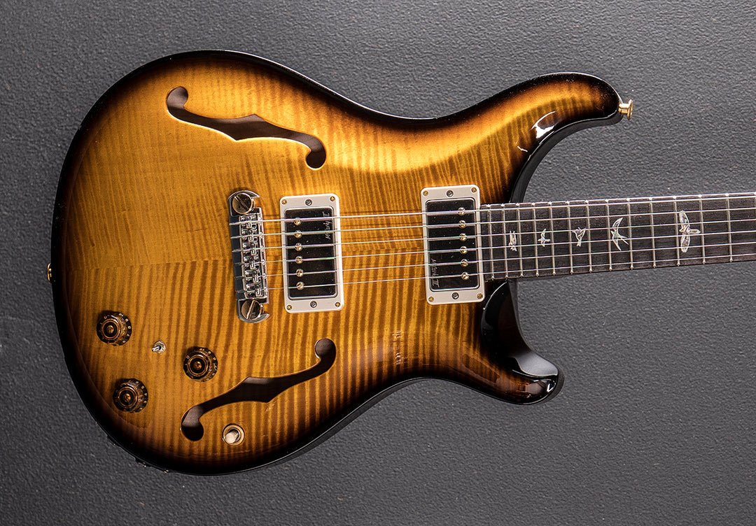 Hollowbody II Piezo 10 Top &