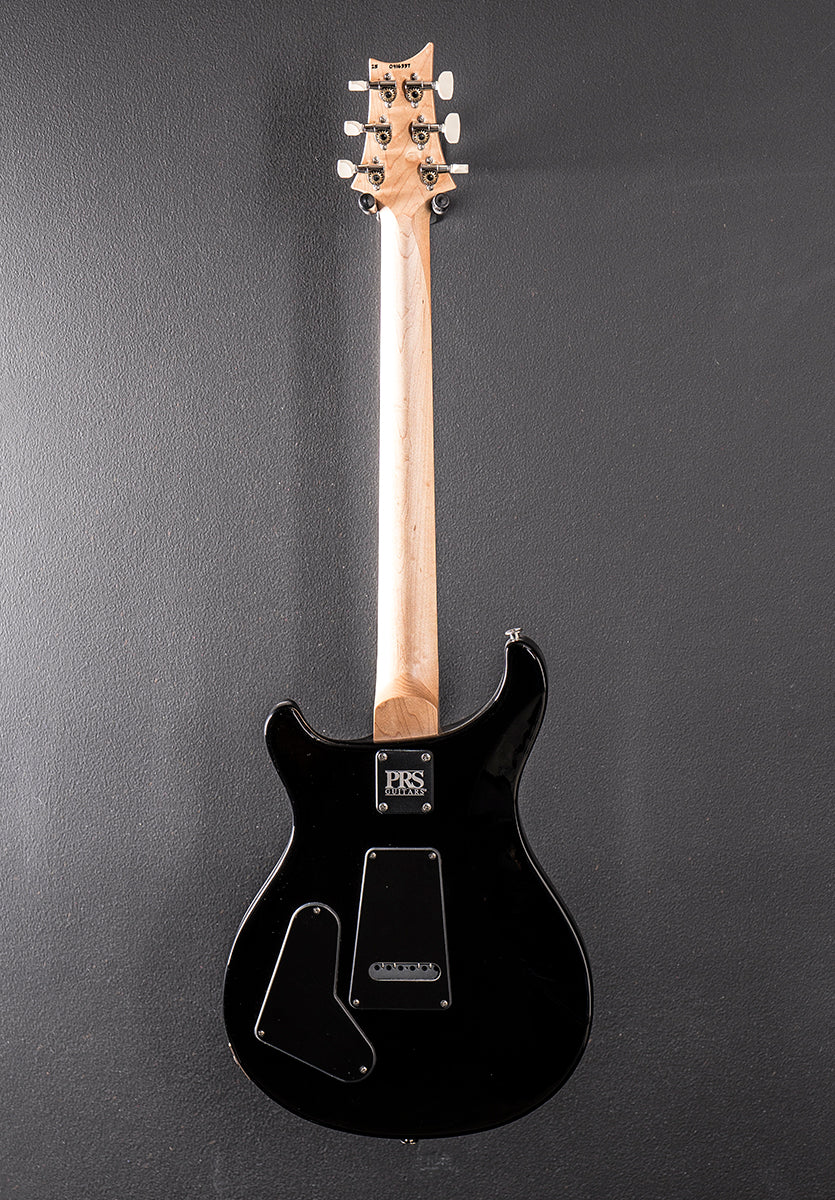 Swamp Ash Special w/Rosewood &
