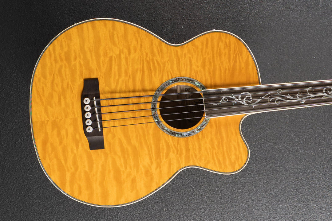 Dragonfly 5-String Fretless Acoustic Bass, Recent