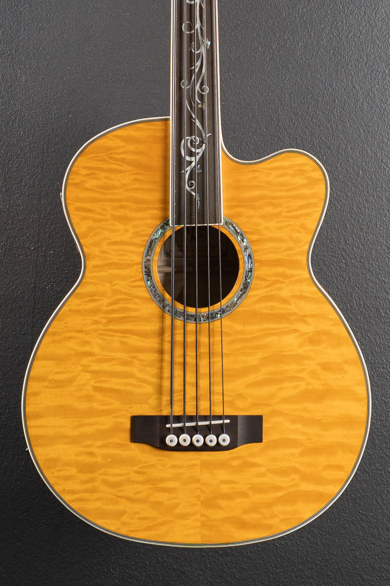 Dragonfly 5-String Fretless Acoustic Bass, Recent