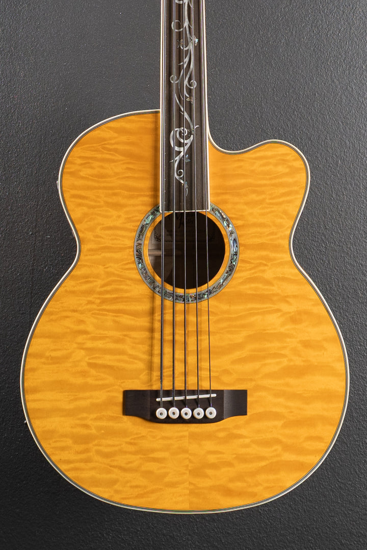 Dragonfly 5-String Fretless Acoustic Bass, Recent
