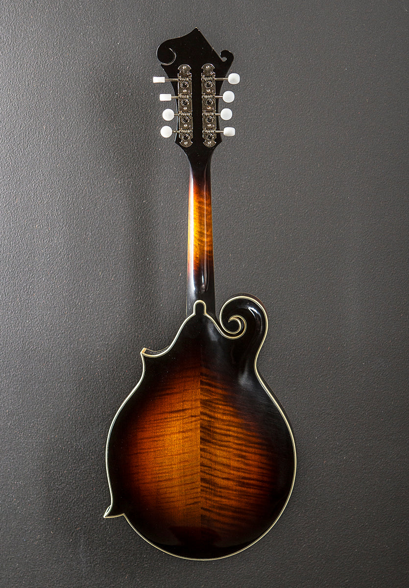 KM-700 Mandolin, Recent
