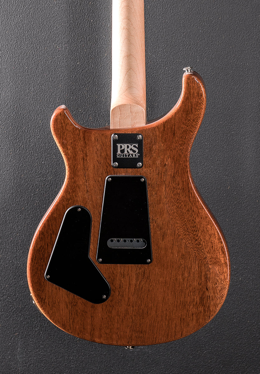 CE-24 Semi-Hollow &