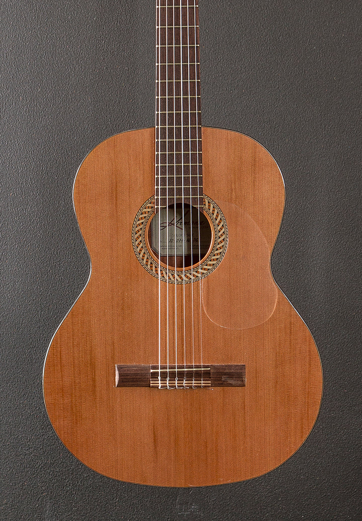 Soloist S65C Classical, Recent