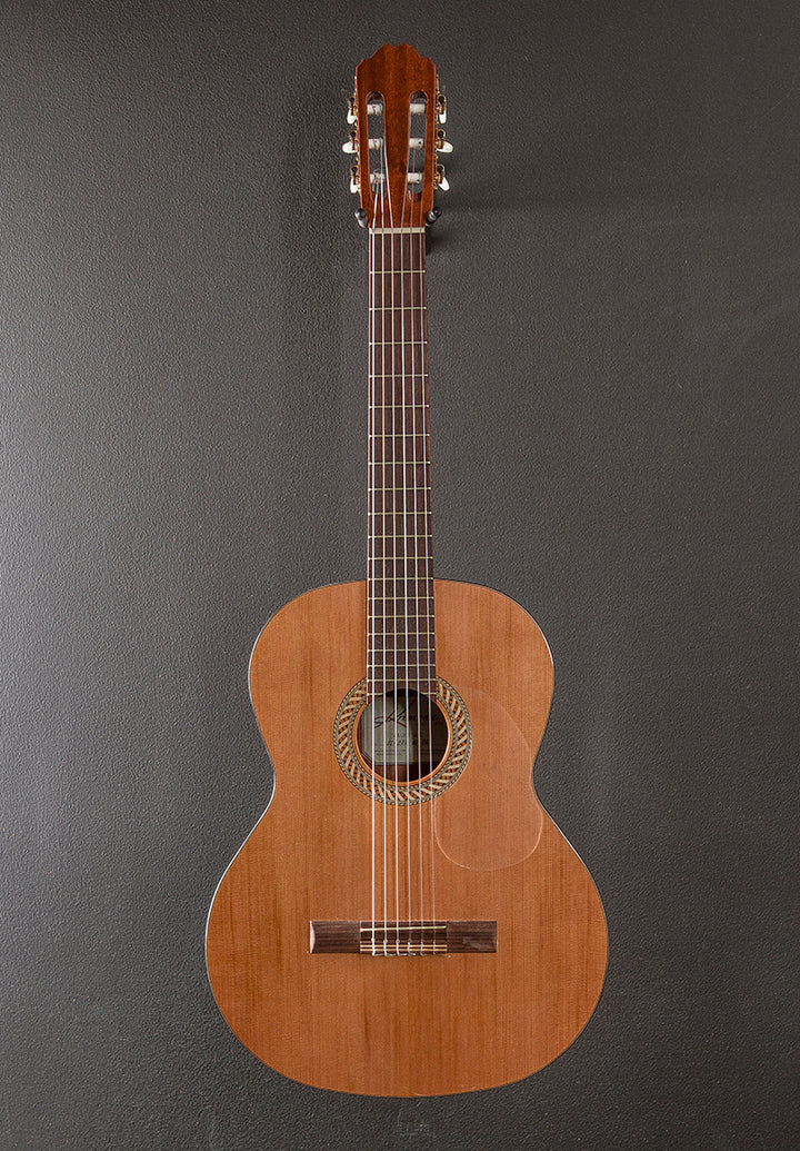 Soloist S65C Classical, Recent