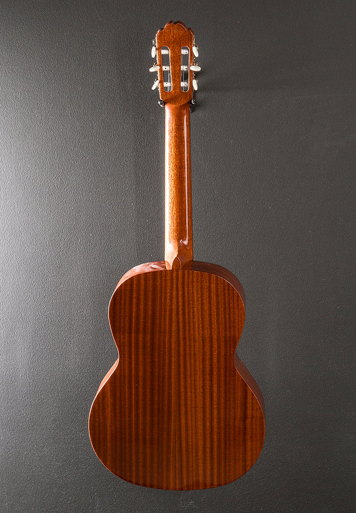 Soloist S65C Classical, Recent